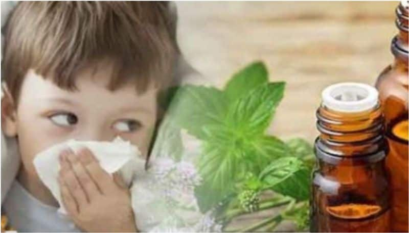 Boost your child's immunity amid COVID-19 with these 5 ayurvedic herbs ANK