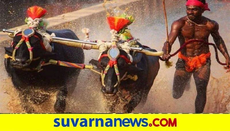 Kambala Shrinivas GowdaBreaks His Own Record snr