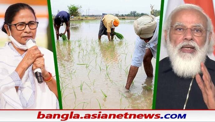 'আমি চাই ভাগচাষিরাও টাকা পাক,কিষাণ নিধিতে যুক্ত হোক', মোদীর তোপের পর পাল্টা দাবি মমতার