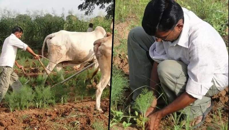 Here is how one can make farming a successful venture