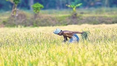 Cabinet approves hike in minimum support prices for various kharif crops amid farmers’ protest