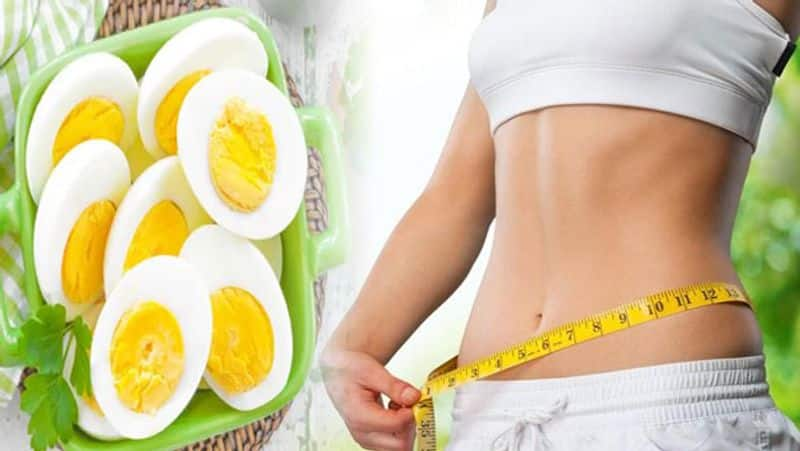 Can eggs help you lose weight?