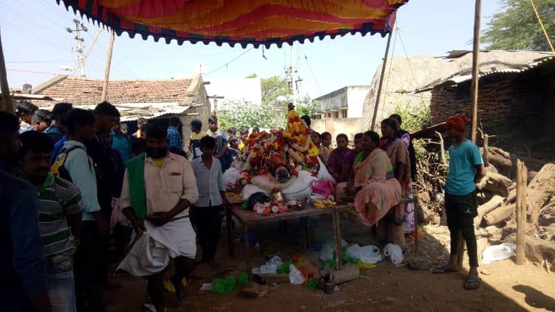 Bull Dies Due to Illness in Ranibennur in Haveri District grg