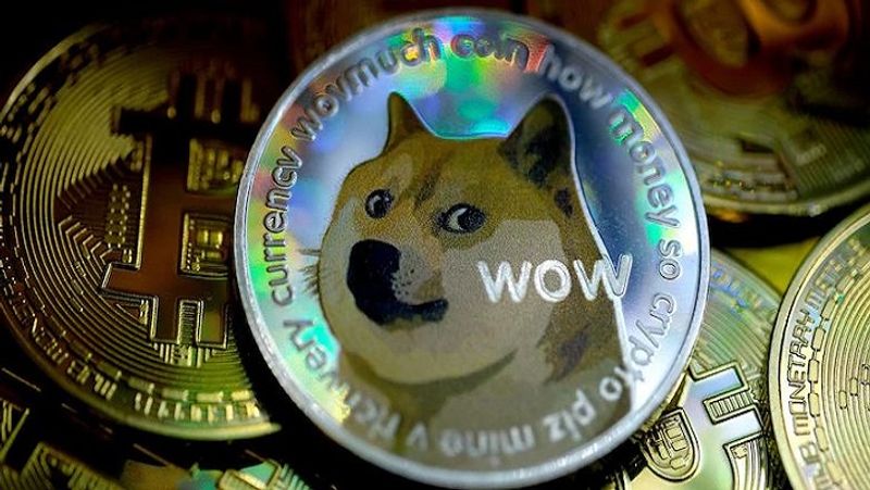 Inspired by Elon Musk man invests in Dogecoin, becomes millionaire in 2 months