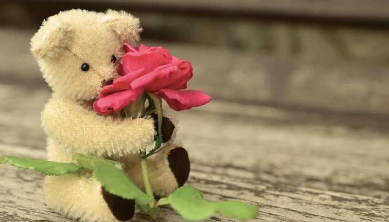 Today is Happy Teddy Day