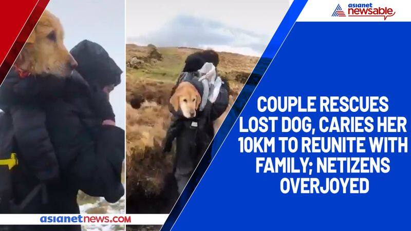 Couple rescues lost dog, caries her 10km to reunite with family; netizens overjoyed-tgy