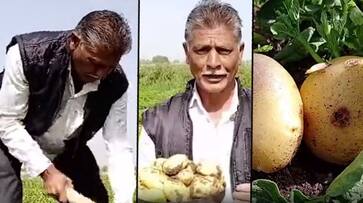 Anything is possible if one has will! Farmer grows potatoes in unsuitable land, enjoys profits