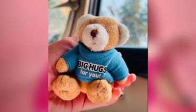 'মোহর'র গোপন প্রেমিক, Teddy Day-তে কে এই বিশেষ উপহার দিল সোনাকে