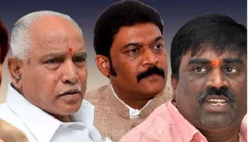 somashekar Reddy Vs Anand Singh Over Formation of Vijayanagara district rbj