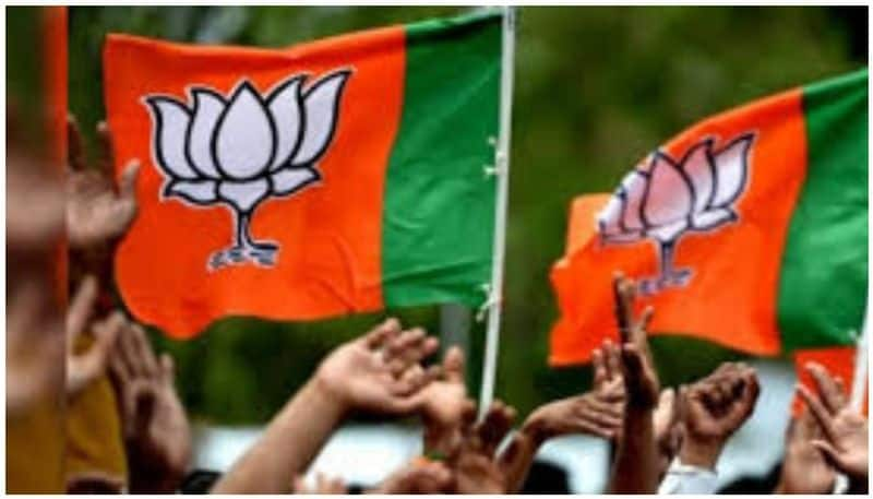 election bjp to concentrate on 15 assembly seats