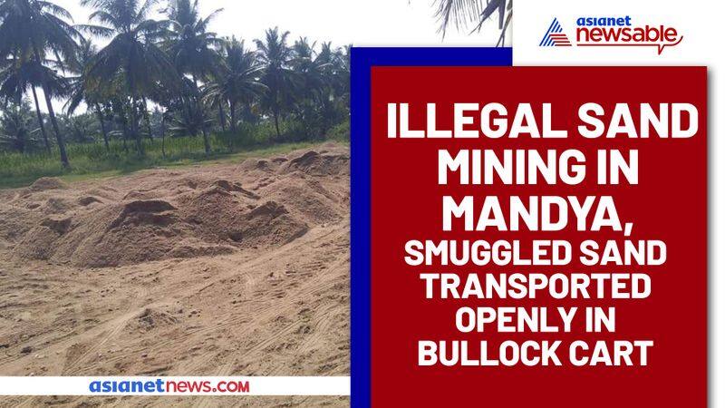 Illegal sand mining in Mandya, smuggled sand transported openly in bullock cart - ycb