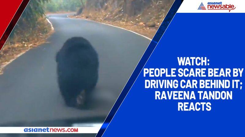 Watch People scare bear by driving car behind it; Raveena Tandon reacts-tgy