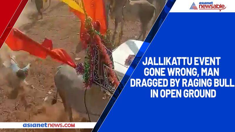 Jallikattu event gone wrong, man dragged by raging bull in open ground-ycb