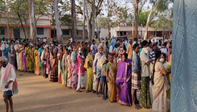 ap local body electiona second phase, old age people voting in vijayanagaram - bsb