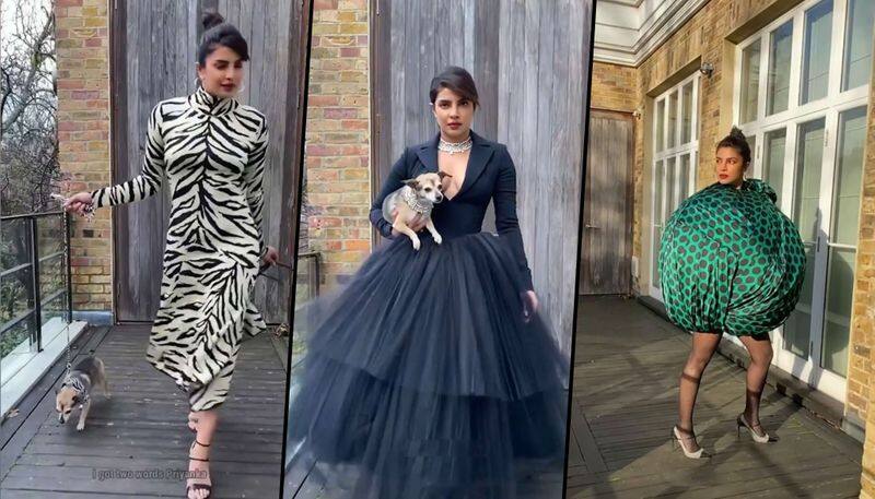 Priyanka Chopra channels her inner fashion police with pet Diana; takes help from Tika, Watch video - ank