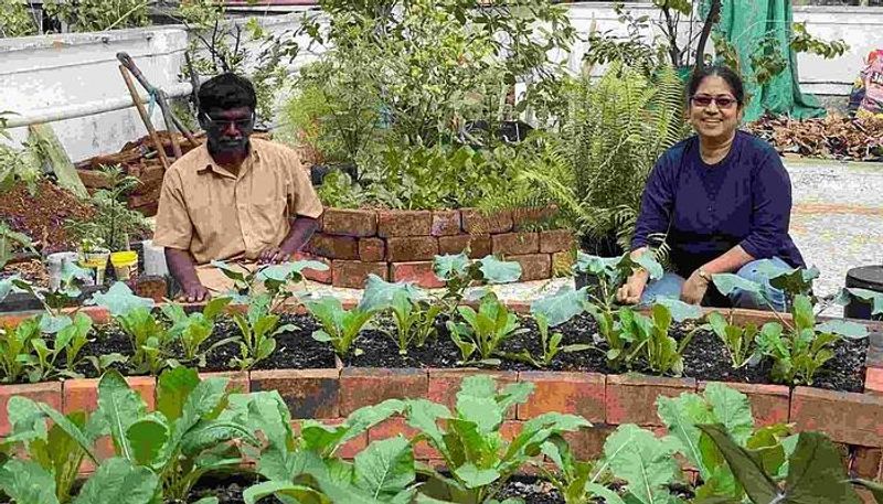 for 20 years this Mumbai woman grows vegetables and fruits on the terrace