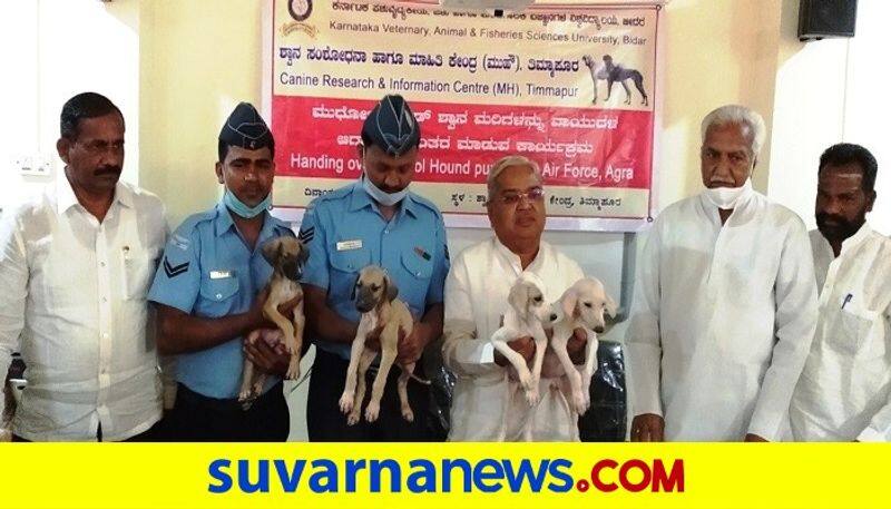 govinda karajola handed over mudhol dogs to Indian air force at bagalkot rbj