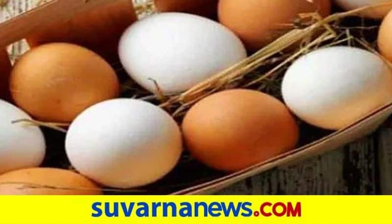 Egg Distribution Likely To stop in next 3 Month snr