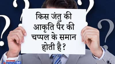 UPSC के खतरनाक सवाल: क्या आपने छिपकली को पानी पीते देखा है? जवाब देने में हो जाएगी दिमागी कसरत