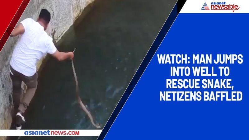 Watch Man jumps into well to rescue snake, netizens baffled-TGY