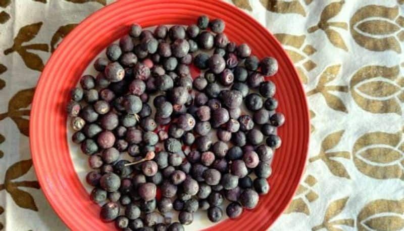 how to grow Phalsa