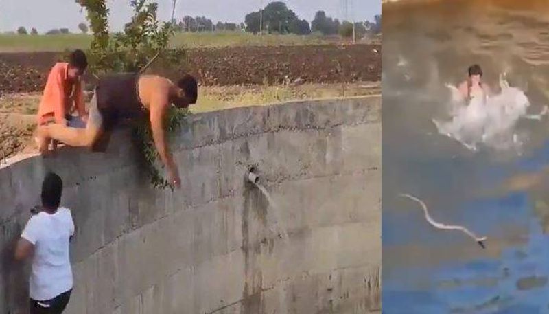 Man Jumps into Well to Rescue a Cobra