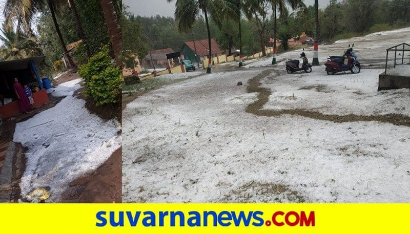 heavy hail stone rain at kodagu District On feb 19 rbj