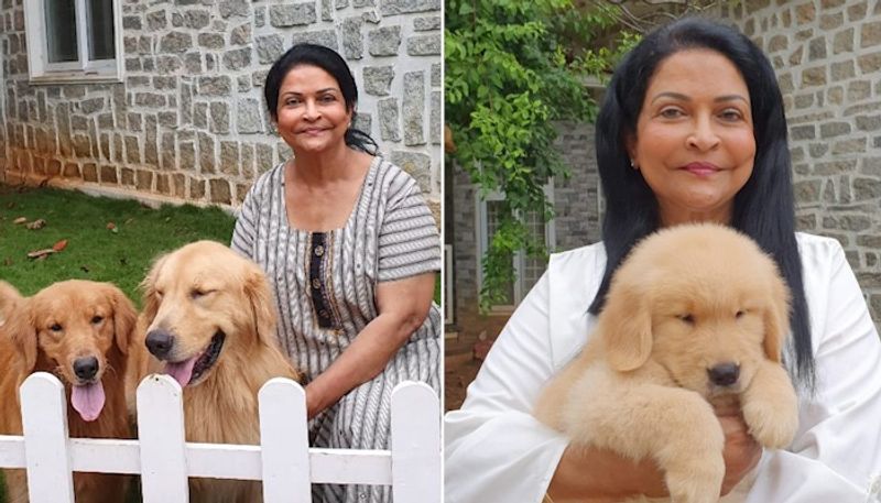 Meet Yashodhara India's most-reputed dog breeder, on 'ethical breeding;, nurturing animals-SYT