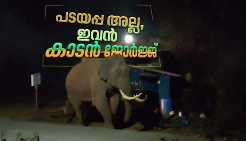 wild elephant george attack a small shop in devikulam