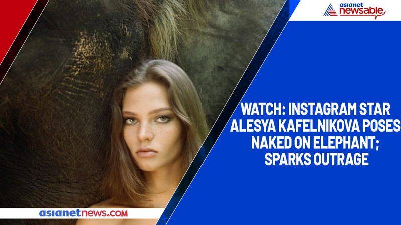 Watch Instagram star Alesya Kafelnikova poses naked on elephant; sparks outrage-tgy