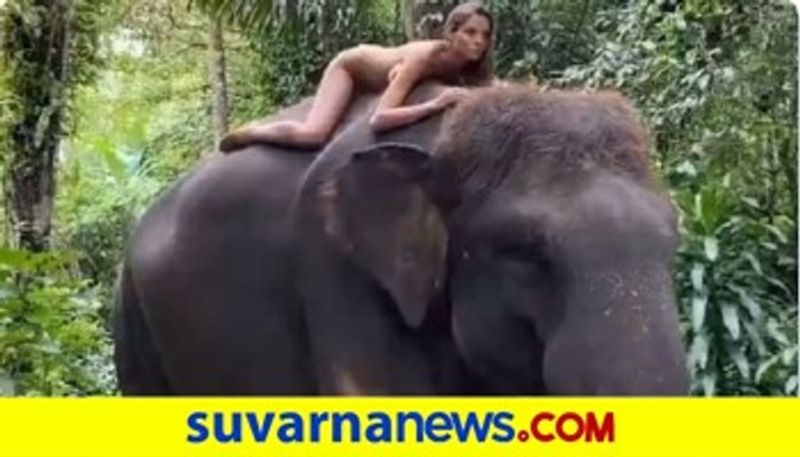 Instagram Influencer Poses Naked on An Endangered Sumatran Elephant in Bali mah