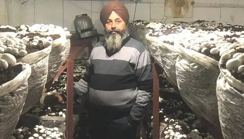 Mushroom King of Punjab earns Rs 1.25 Cr per year