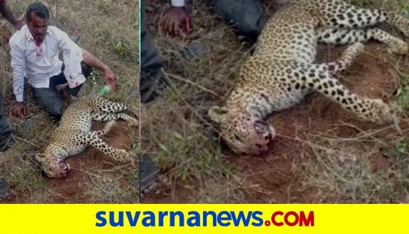 Hassan Man Killed Leopard To save His Family  snr