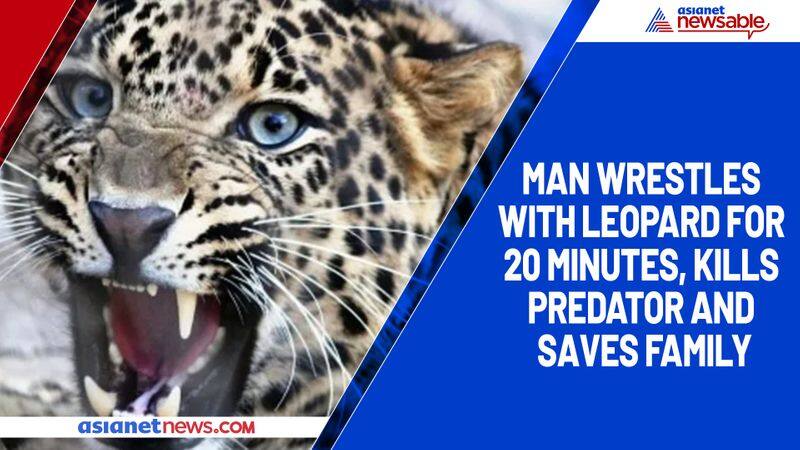 Man wrestles with leopard for 20 minutes, kills predator and saves family-YCB