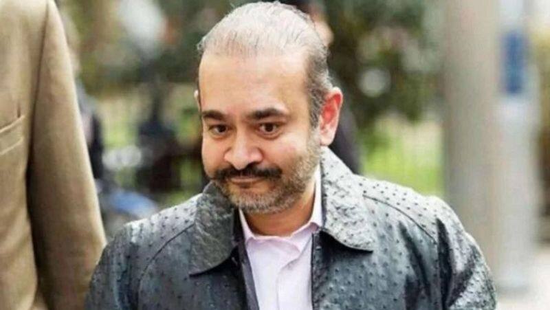 PNB scam India UK govt extradite Nirav Modi immediately-VPN