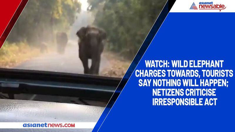 Watch Wild elephant charges towards, tourists say nothing will happen; netizens criticise irresponsible act-tgy