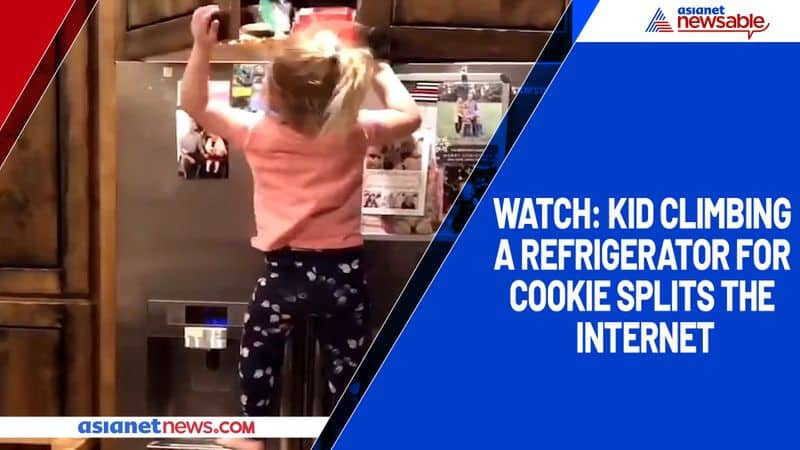 Watch Kid climbing a refrigerator for cookie splits the internet-TGY