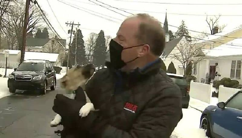 Puppy Crashes Weather Report On Live TV