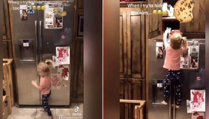 little girl Climbing Fridge to Grab Cookies video viral