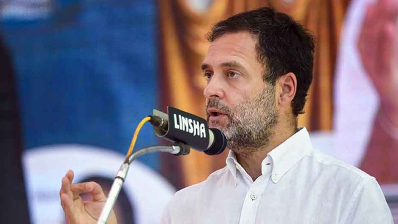 bjp gave complaint against rahul gandhi election campaign in tamil nadu