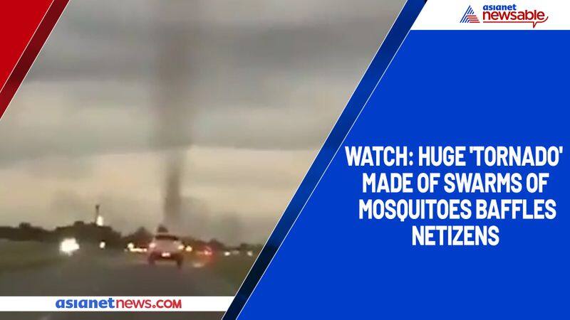 Watch Huge 'tornado' made of swarms of mosquitoes baffles netizens-tgy