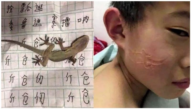 Little boy falls asleep on lizard while doing homework wakes up with imprint on face