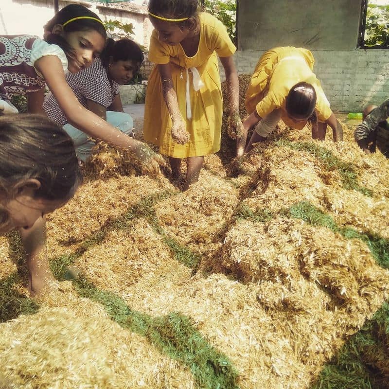 agricultural primary school for girls