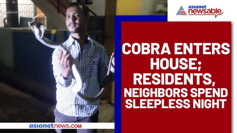 Cobra enters house; residents, neighbors spend sleepless night - ycb