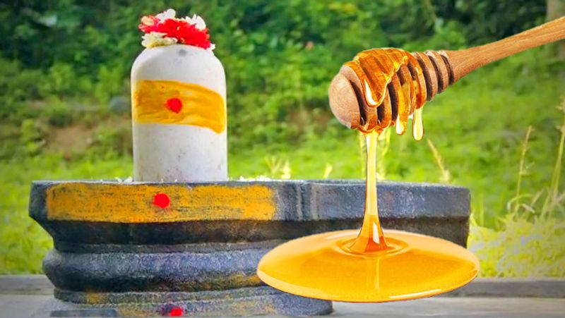 <p>ఆరోగ్యం పట్ల శ్రద్ధ ఉన్నవారు ఎవరైనా పంచదార తినడానికి బుదులు బెల్లం, లేదా తేనె ఉపయోగిస్తారు. అంతేకాదు.. తేనె వల్ల మనకు చాలా ఆరోగ్య ప్రయోజనాలు ఉన్నాయి కాబట్టి.. పలు రకాల స్వీట్స్ లో లేదా ఉదయాన్నే వేడీ నీటిలో ఇలా రకరకాలుగా తేనేను వినియోగిస్తారు.</p>
<p>ఆరోగ్యం పట్ల శ్రద్ధ ఉన్నవారు ఎవరైనా పంచదార తినడానికి బుదులు బెల్లం, లేదా తేనె ఉపయోగిస్తారు. అంతేకాదు.. తేనె వల్ల మనకు చాలా ఆరోగ్య ప్రయోజనాలు ఉన్నాయి కాబట్టి.. పలు రకాల స్వీట్స్ లో లేదా ఉదయాన్నే వేడీ నీటిలో ఇలా రకరకాలుగా తేనేను వినియోగిస్తారు.</p>