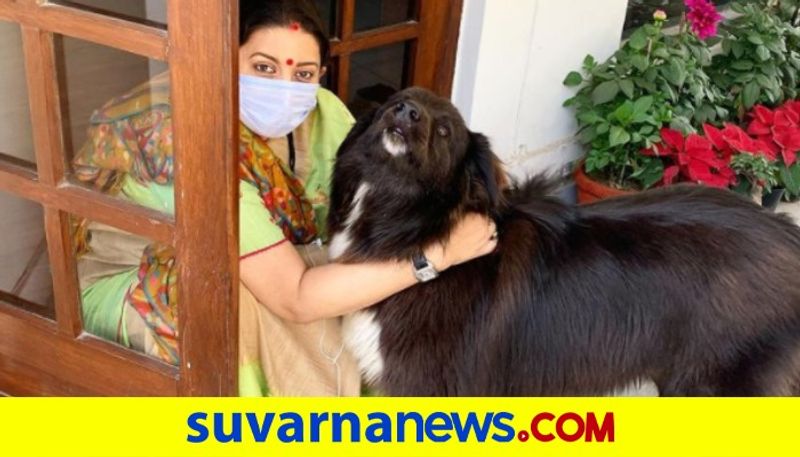 Smriti Irani posts an adorable picture with her pet jokes When sadda kutta is not Tommy but Sheru dpl