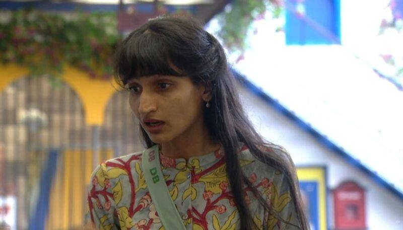 dimpal bhal disagrees with bhagyalakshmi in bigg boss 3