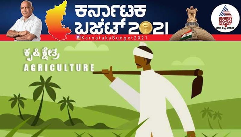 Karnataka Budget 2021 What did farmers and agri sector got from bsy budget Mah