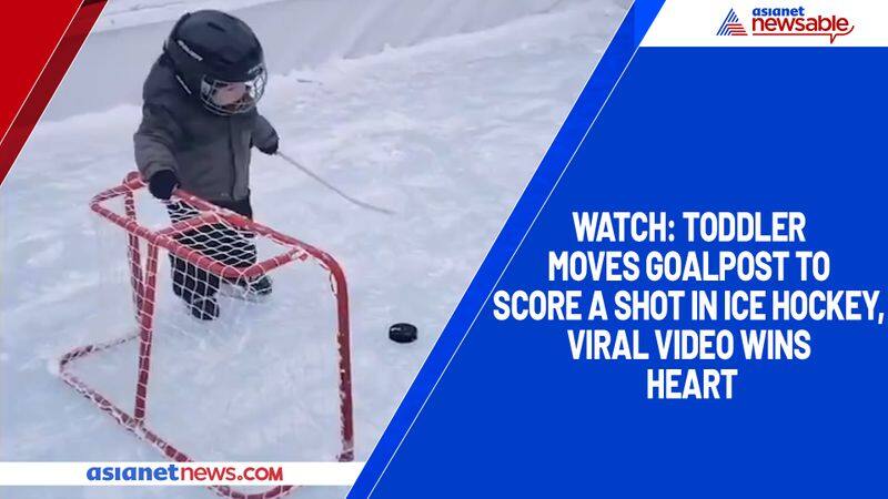 Watch Toddler moves goalpost to score a shot in ice hockey, viral video wins heart-TGY