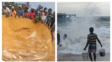 Strong sea level rise of the coast of Shanghumukham Strong sea level rise of the coast of Shanghumukham
